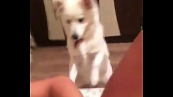 5503045 alexa iliuta 18 ani studenta din i...