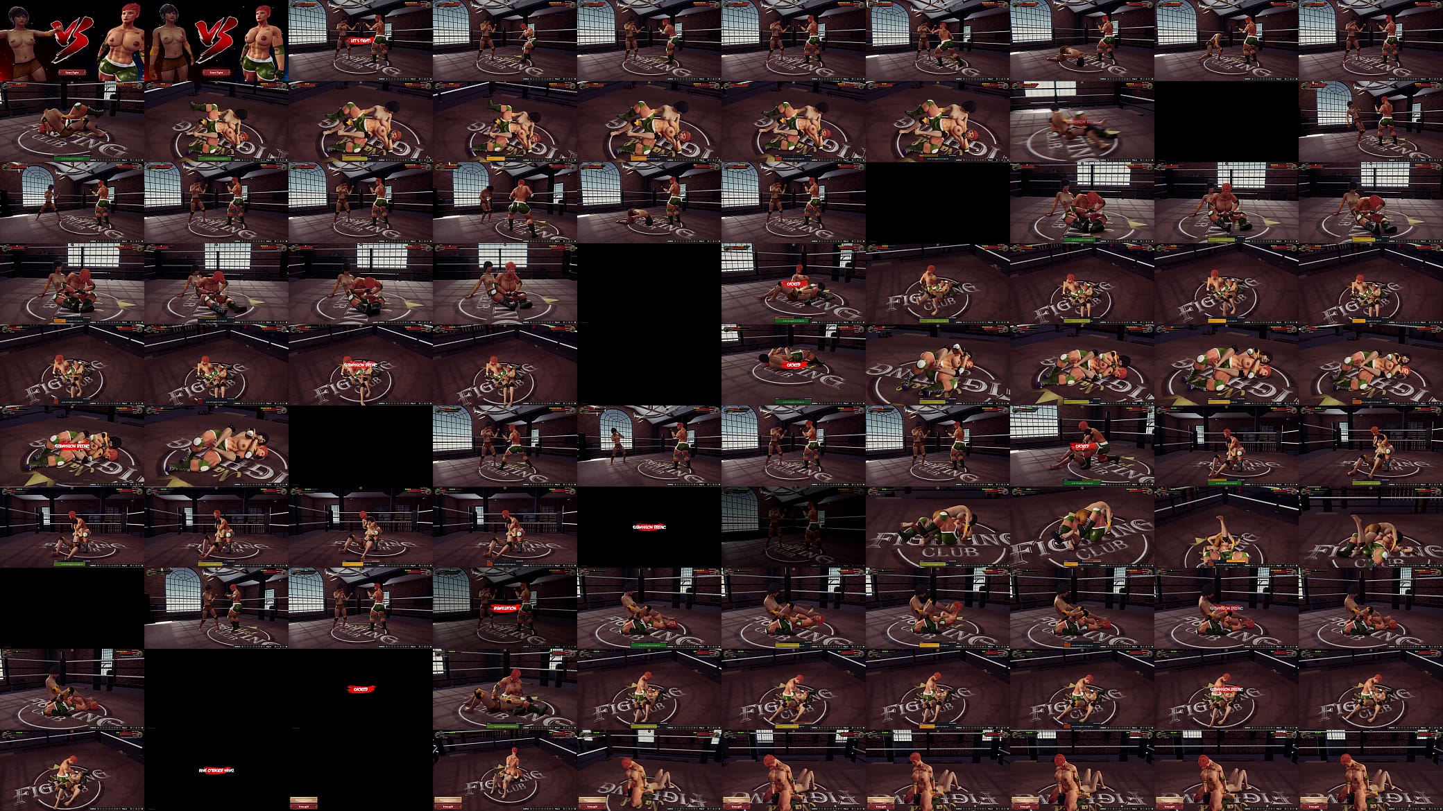 Horie VS Aine O&#039;Rackie (Naked Fighter 3D) 预览图
