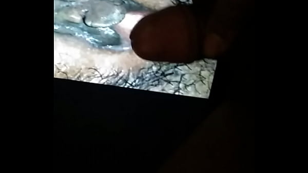 Download Video - Tribute to most sexy pussy