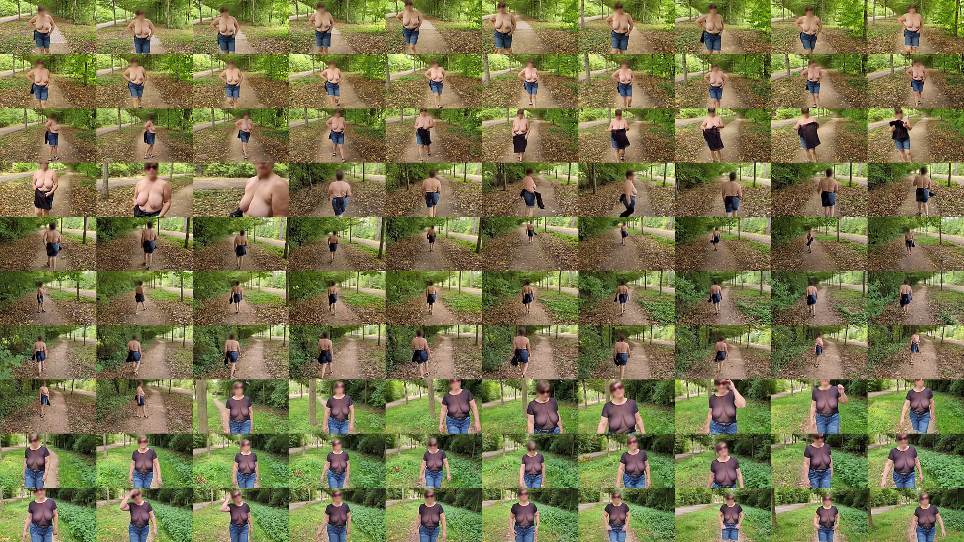 A busty milf public flashing 预览图