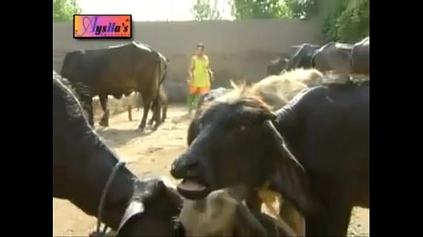 NADIA ALI HOT MUJRA GUJJRA WAY.flv