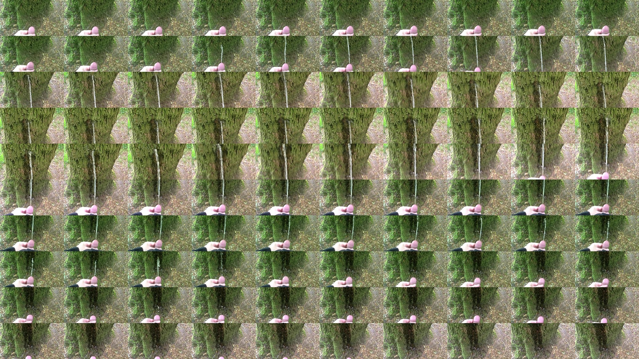 Man pissing on a tree 预览图