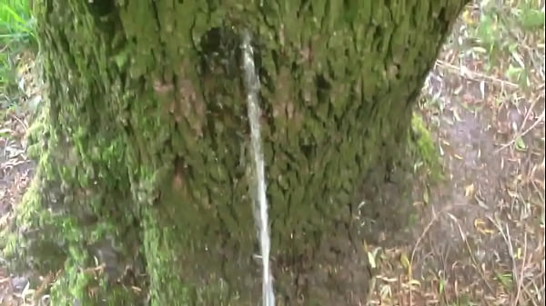 Man pissing on a tree