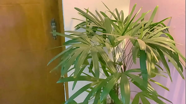 Depois de um Belo Banho Provei V&aacute;rias Calcinhas de Corno para Meus Seguidores