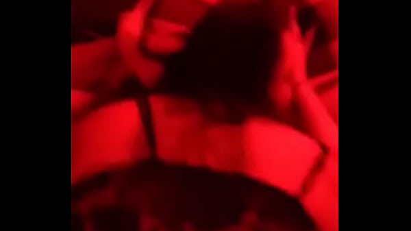 Levrette Ricaine Épaisse