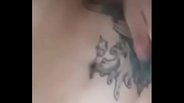 Hündin Möchte Reiten