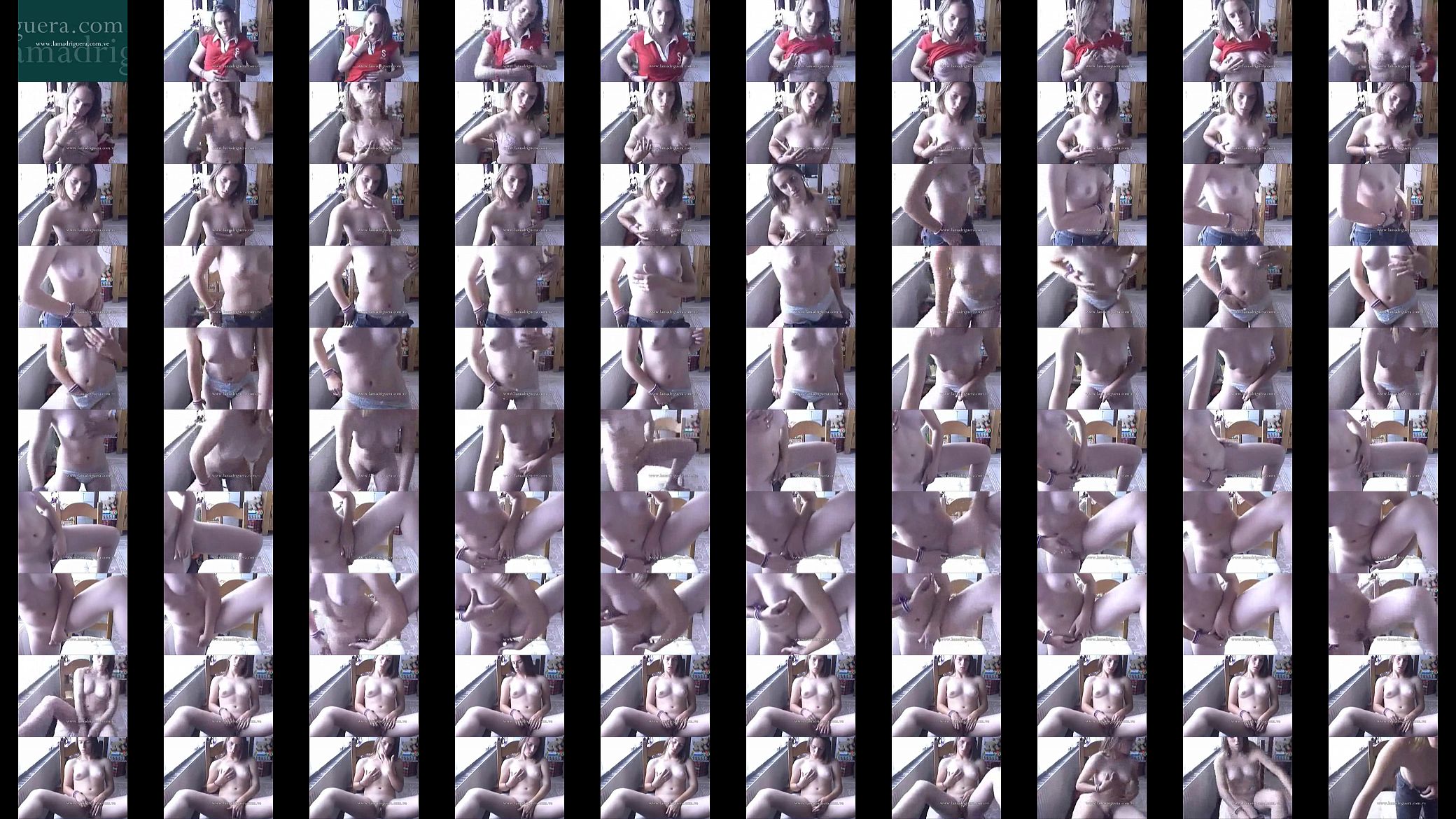 web cam 预览图