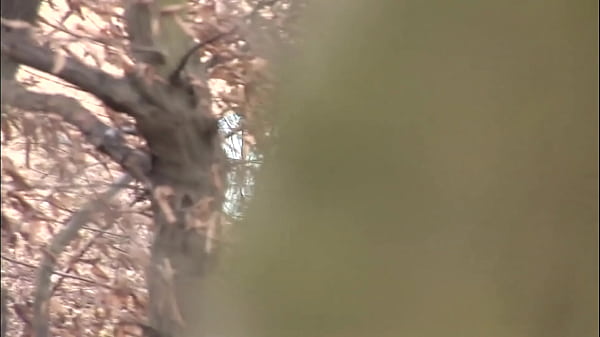 The Stranger in the Stranded Island