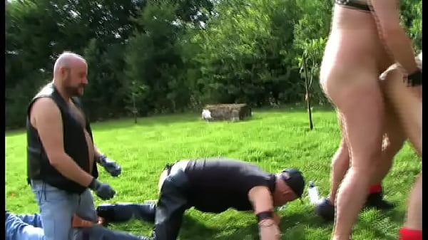 974 seyx bears foda-se no jardim público