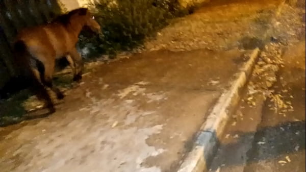 my little cousin alone in the street coming from bailao I put my dick in her nice anal ass
