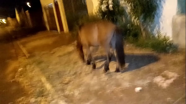 Download Video - minha priminha sozinha  na rua vindo do bailao meti a vara meu pinto no cusinho anal gostoso nela