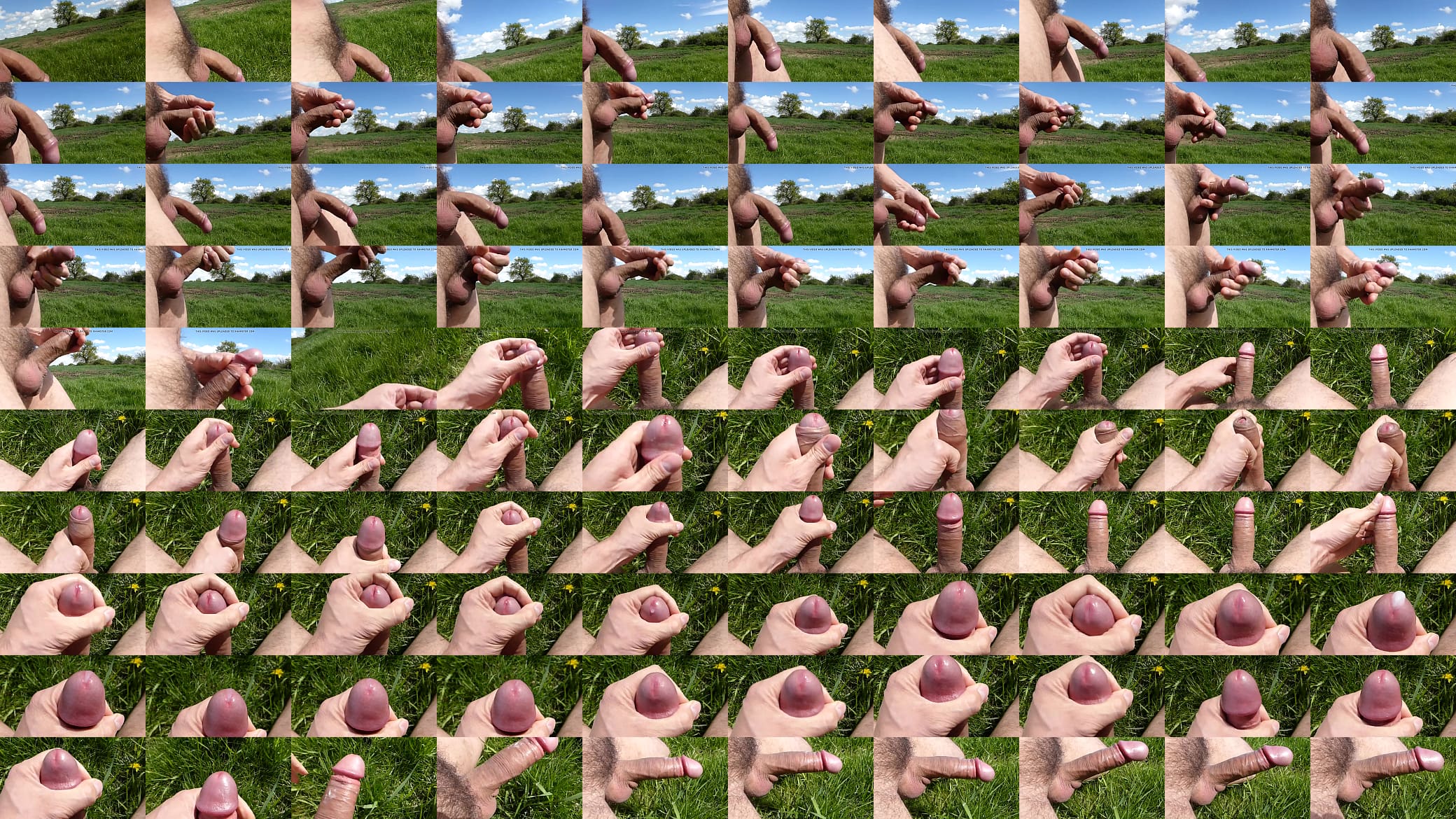 Jerking in fields05 预览图