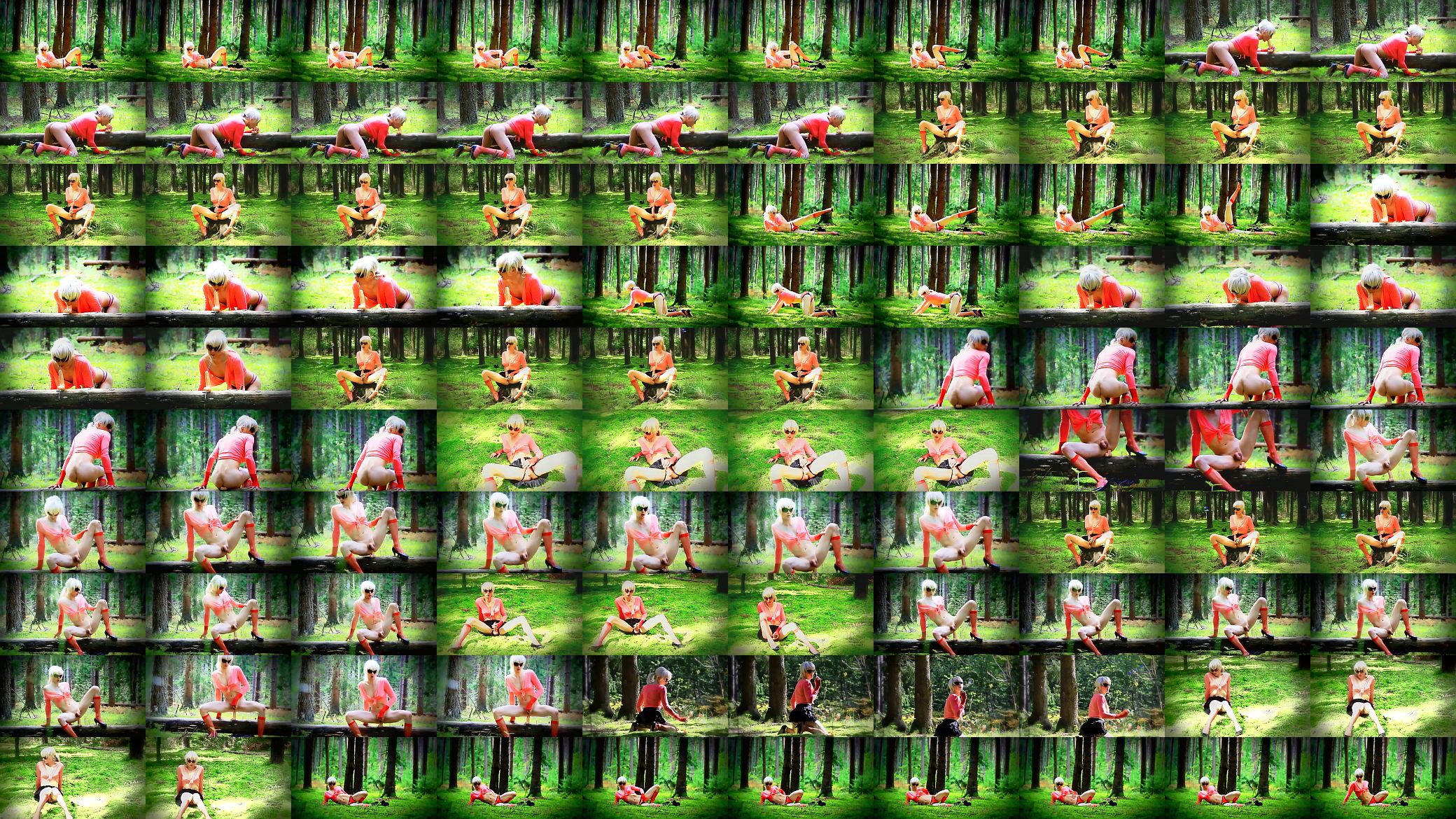 Shemale in the forest 预览图
