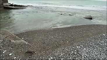 海辺で観光客に天然プロテインシェイクをご馳走した。下ネタを交えながら。