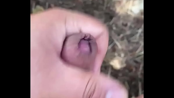 Paille Dans La Forêt