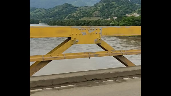 Selo introduces in step