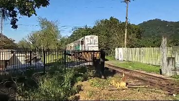 TREM ARROMBANDO O AMV DO PATIO COM FOR&Ccedil;A VEJA NO QUE DEU!