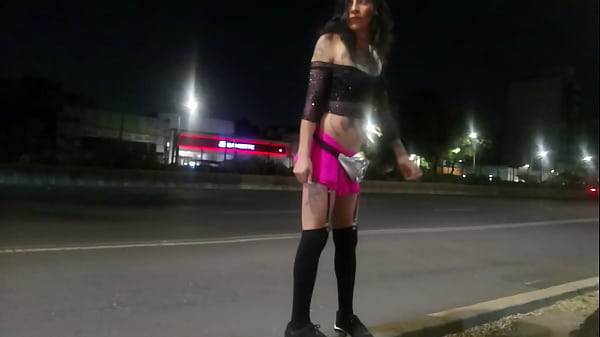 Tlalpan cdmx, Violetta Pigtails