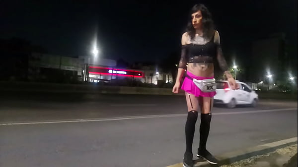Tlalpan cdmx, Violetta Pigtails