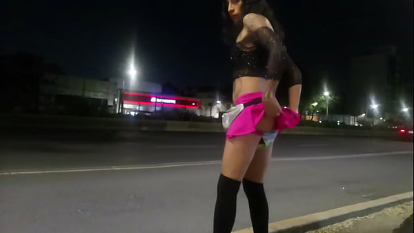 Tlalpan cdmx, Violetta Pigtails