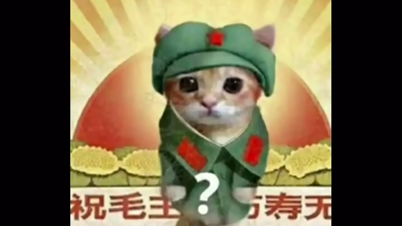 Gang bang varios cavalos gozando em minha boca, gang bang