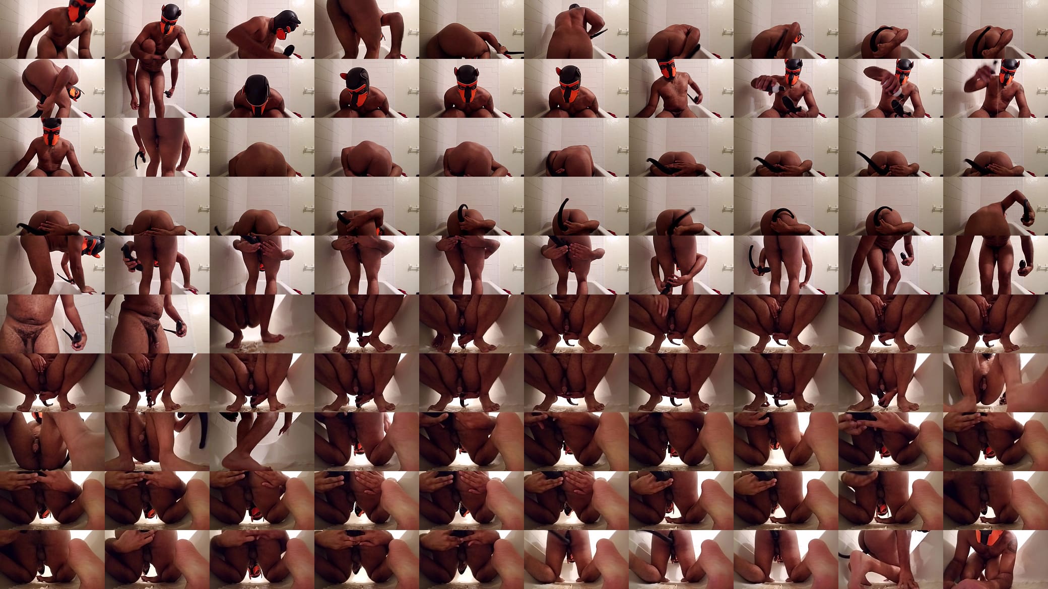 pup tail 预览图