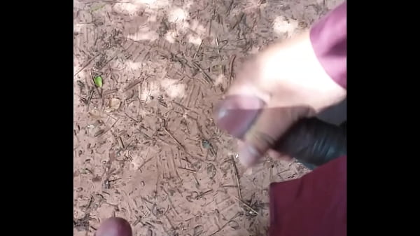 Download Video - Tarde No Parque