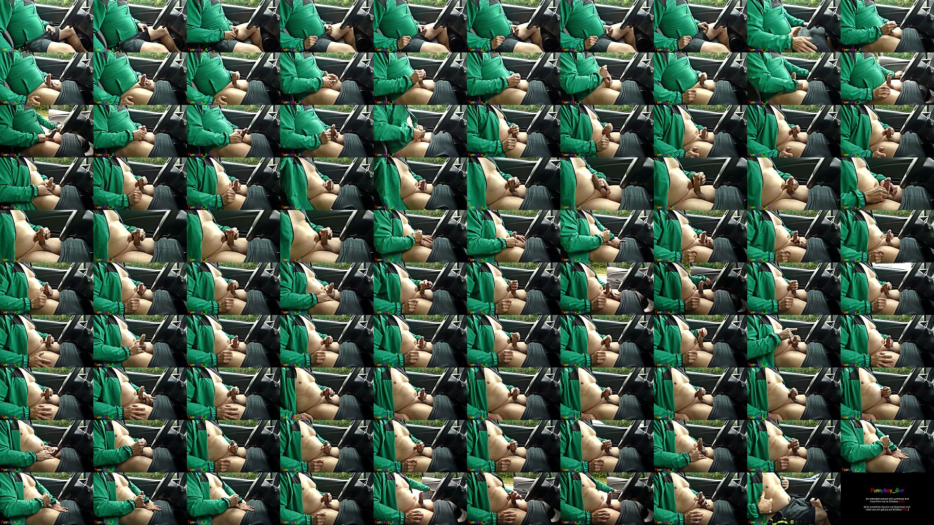 Very publicly in my car at the side of the road, I masturbated my thick foreskin cock. (S) 预览图
