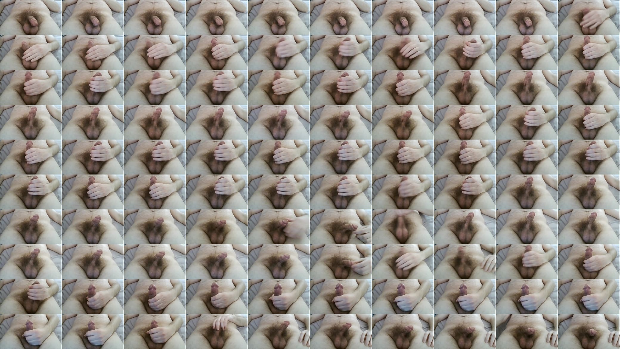 Laying Penis 6 预览图