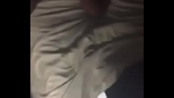 stand up stallion hips and ass