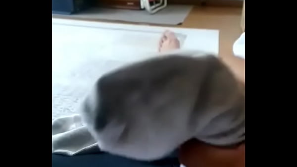Socks　３