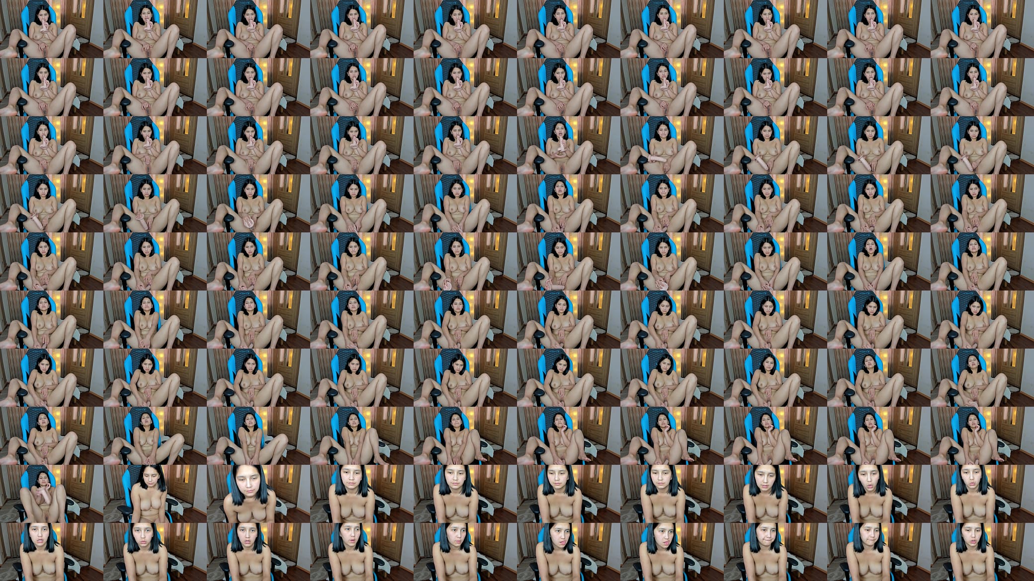webcam 预览图