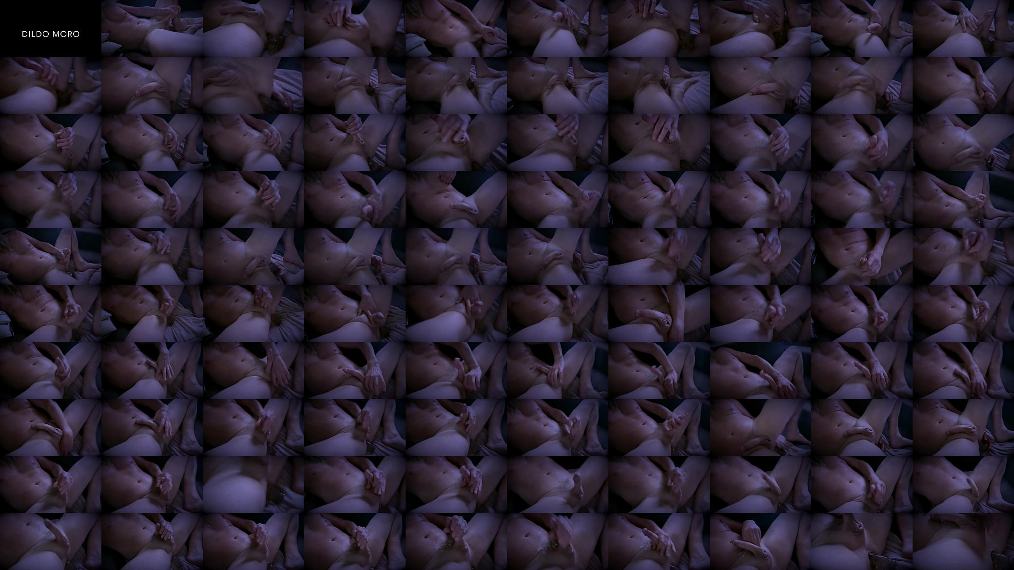 Dildo Fun 预览图