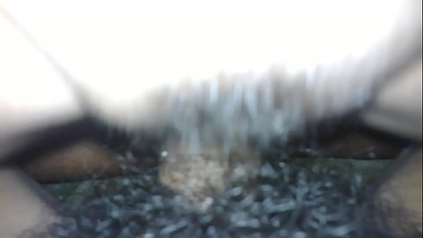 thumb ngoi11 lau
