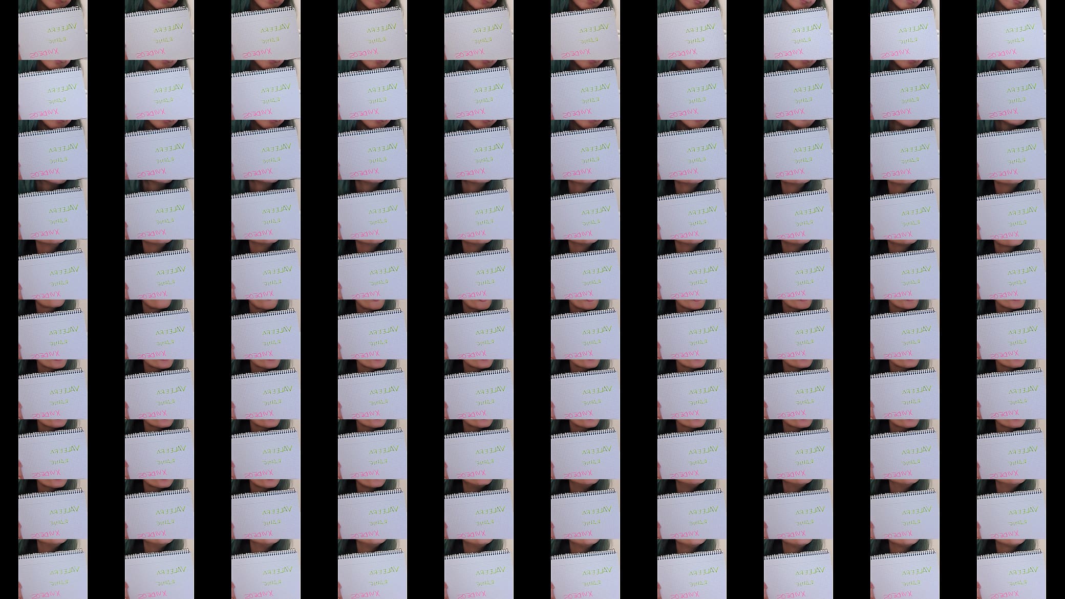 Verification video 预览图