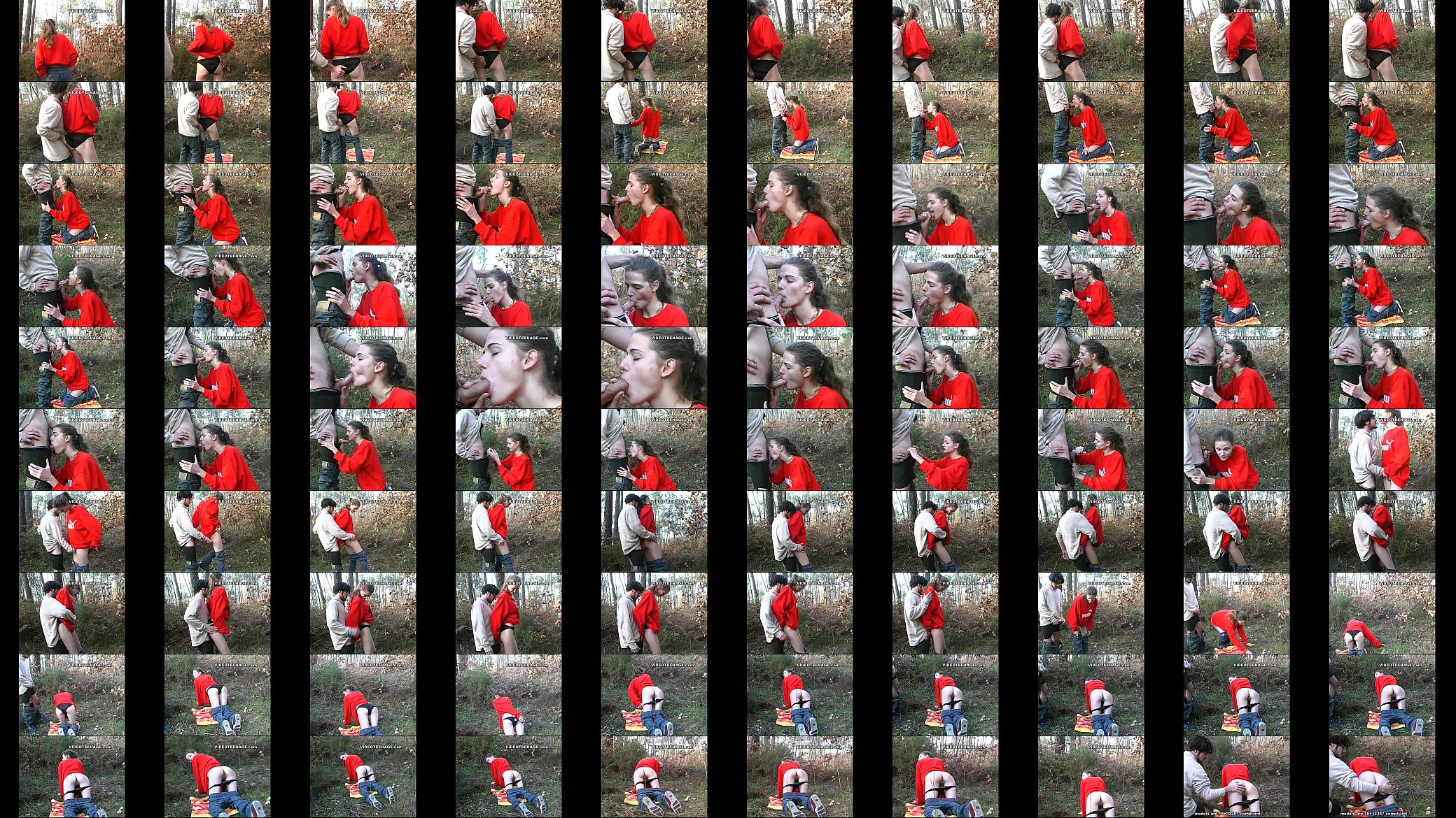 teen sucks boyfriend in forest 预览图