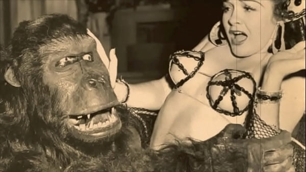 Download Video - Dark Lantern Entertainment Presents 'Vintage Petmania'