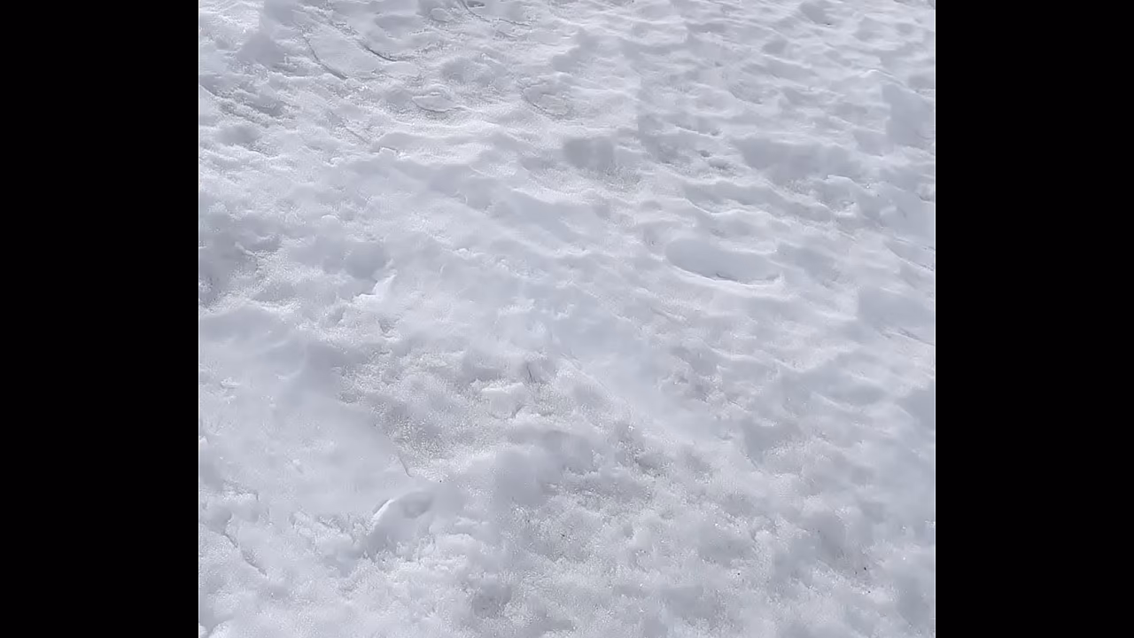 Daykissok natural snow