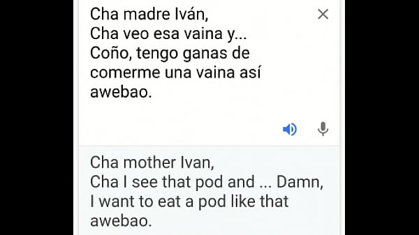 Chá madre Iván