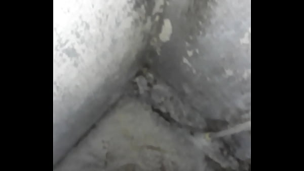 Download Video - Tirando toda la leche