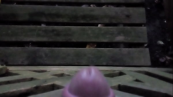 Download Video - 4 girls only&colon; Fucking the garden bench&period; &colon;P
