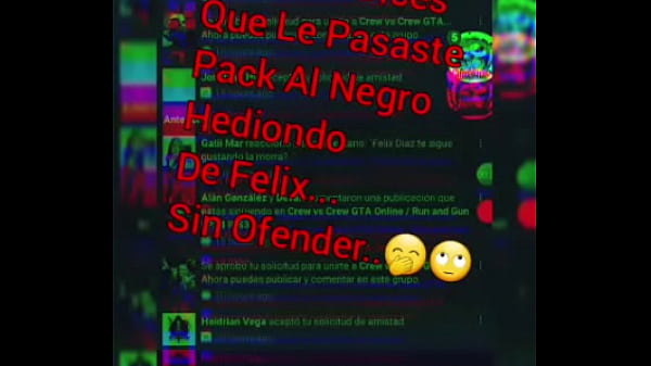 Le Chaton Mar Cat Pleure Bien Le Renard