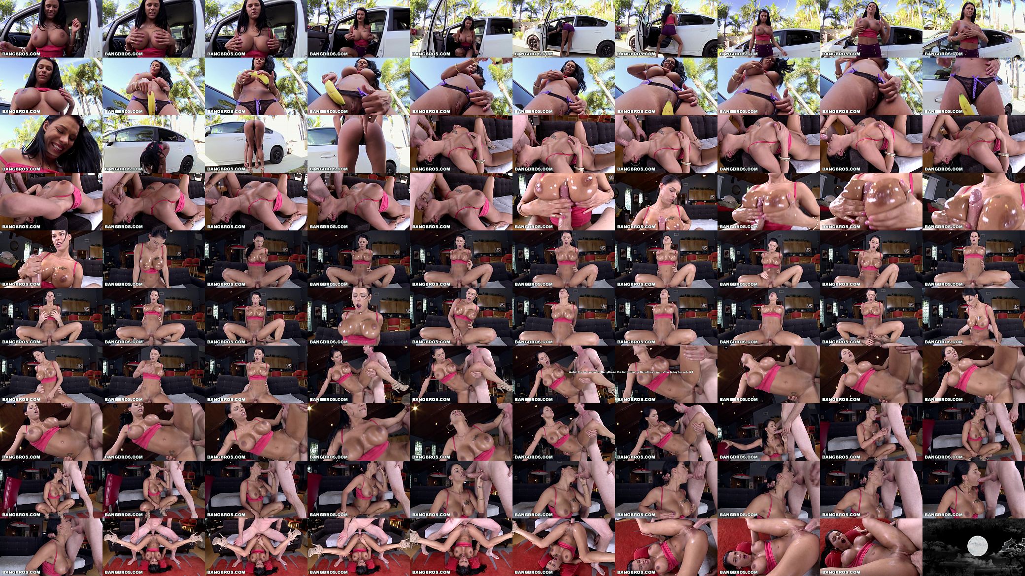 BANGBROS - Jensen&#039;s Got a Big Ass and Big Tits (btcp13807) 预览图