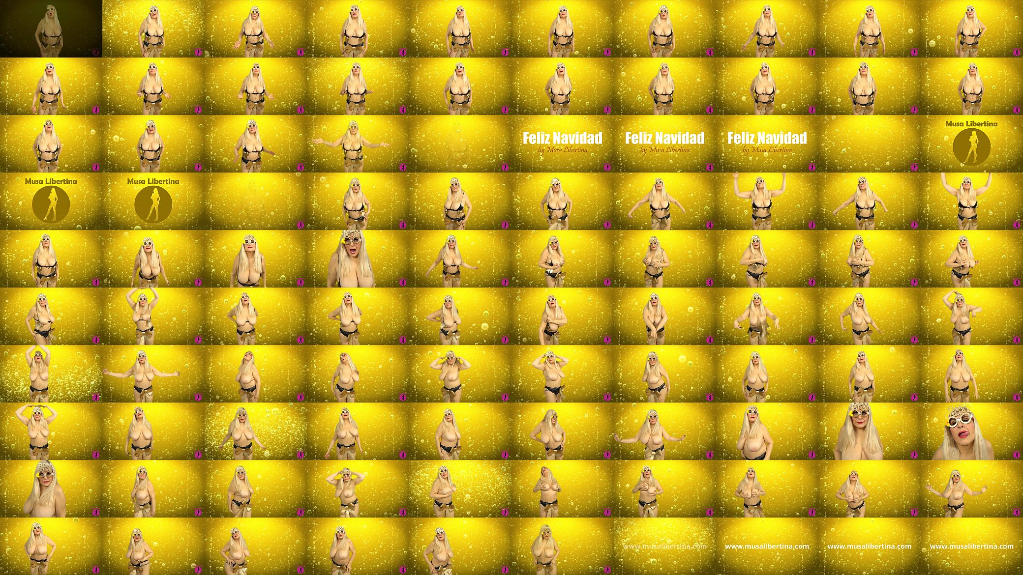 Merry Christmas hot dance 2019 by Musa Libertina 预览图