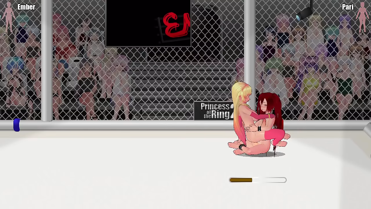 Princess of the ring 2(5)