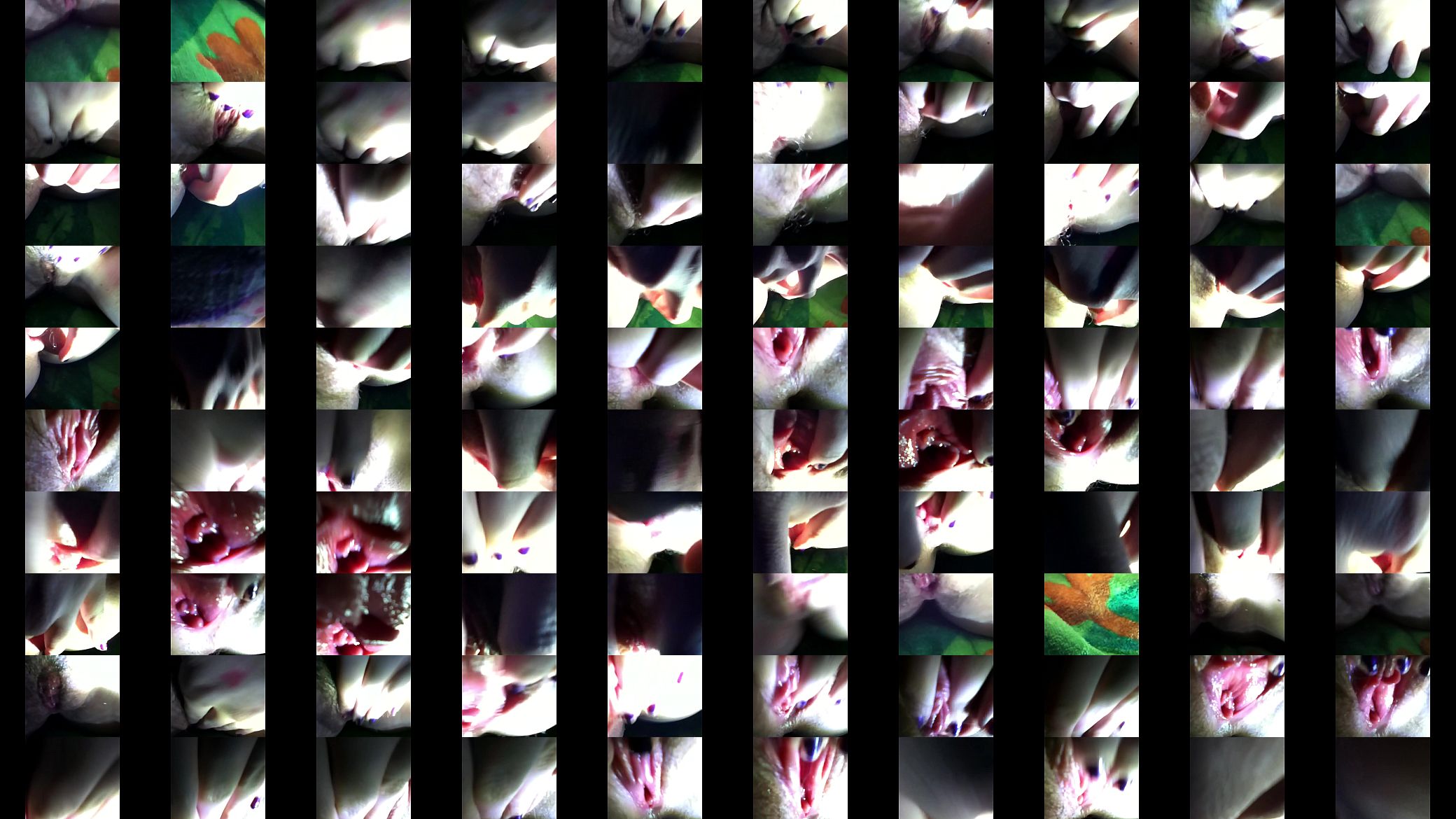 trim.ihbTYh.MOV 预览图