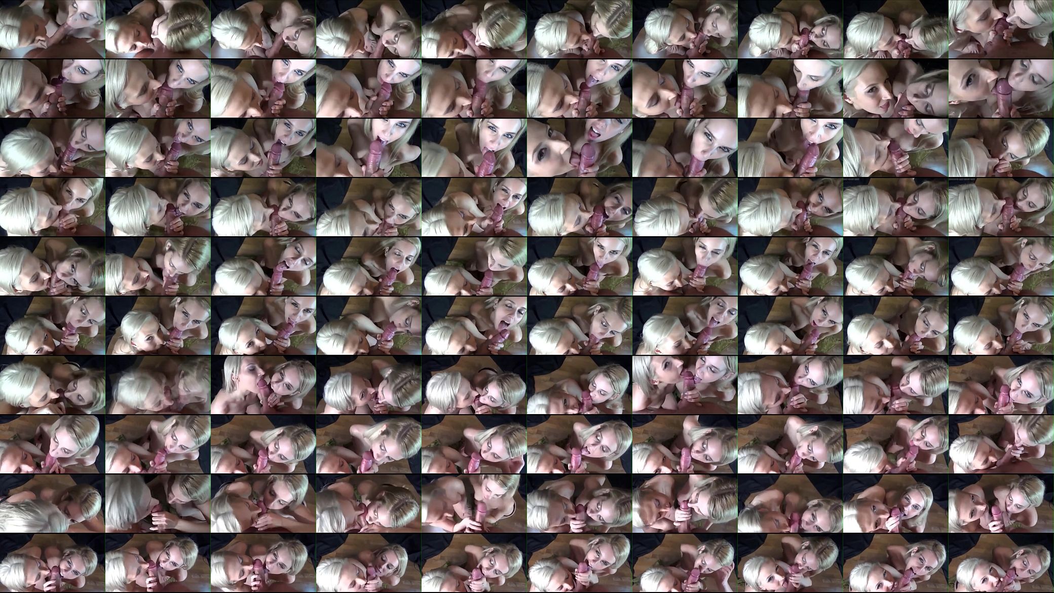 Two blondes take care of a nice white cock 预览图
