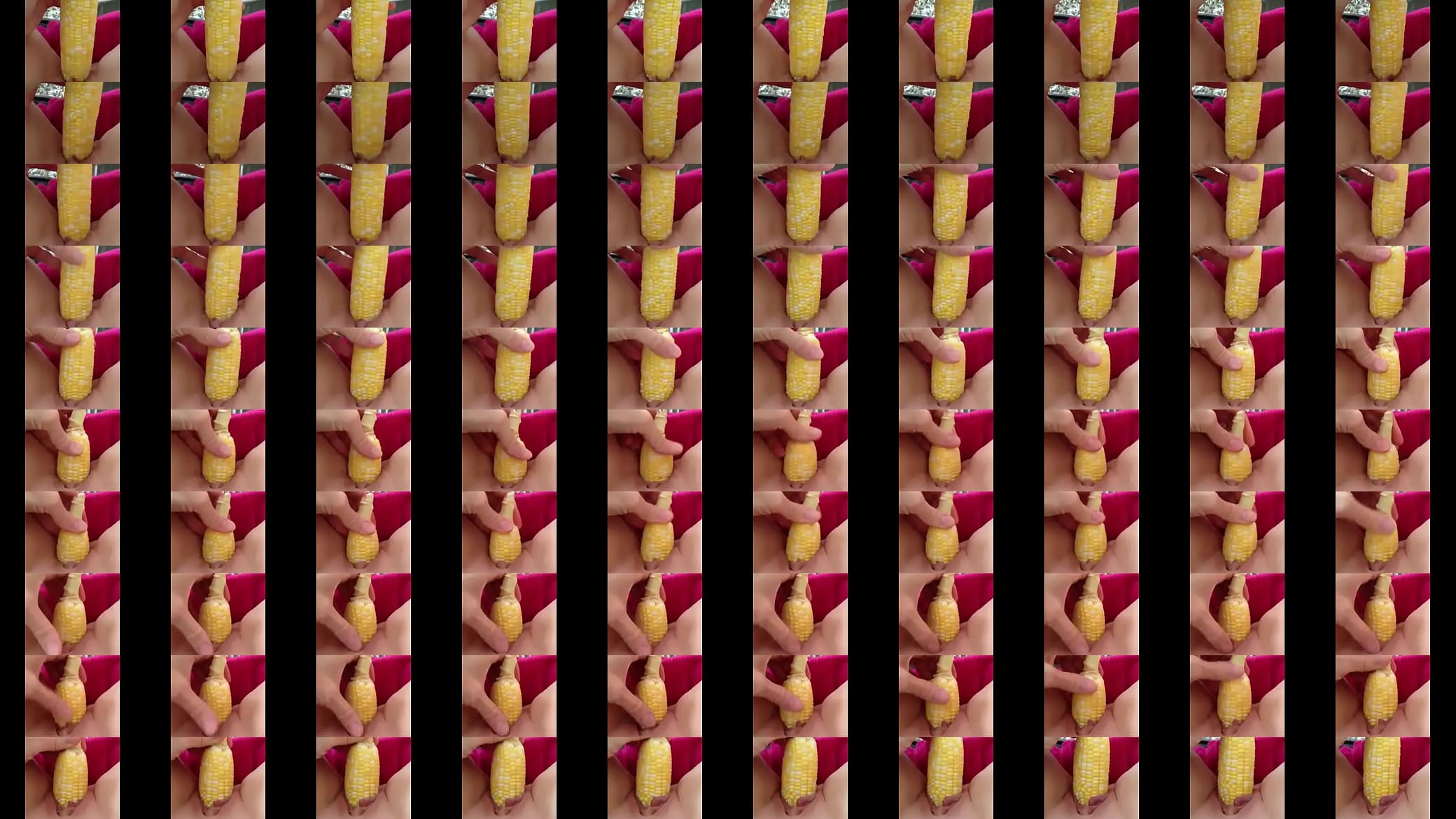 come maiz eating corn 预览图