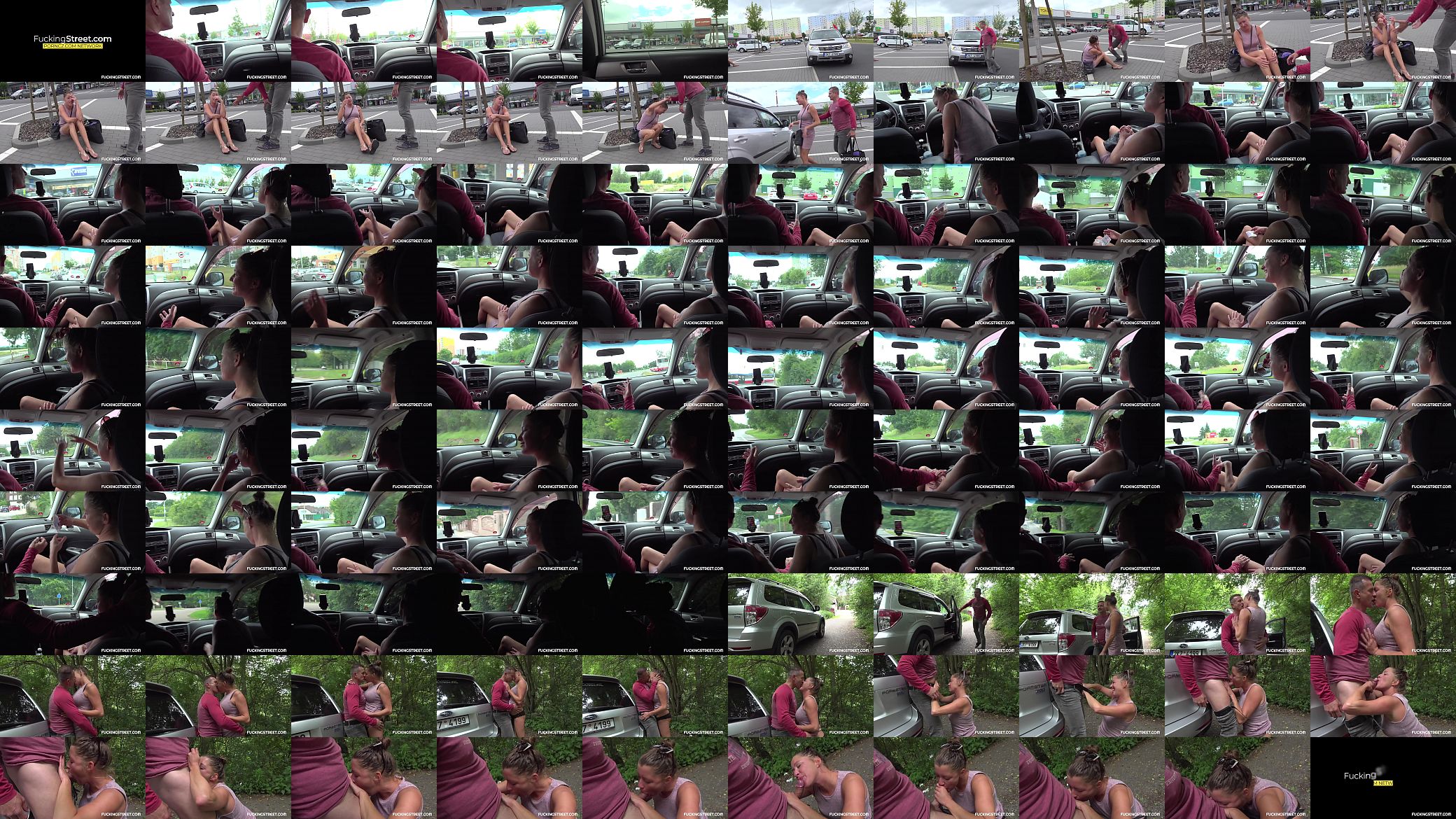 Sexy whore fucks stranger for lift 预览图