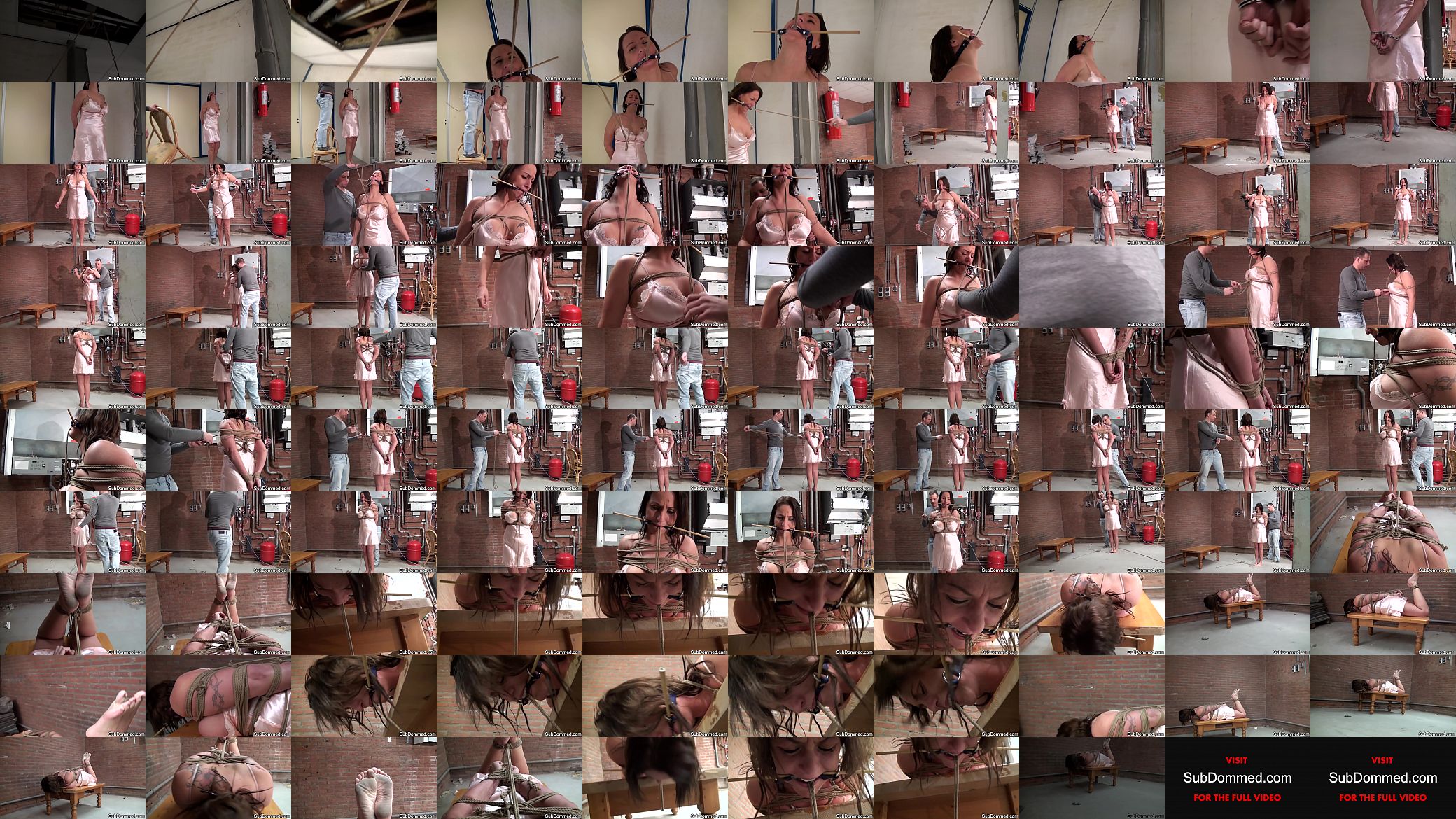 Bigtits BDSM slave bound and gagged 预览图